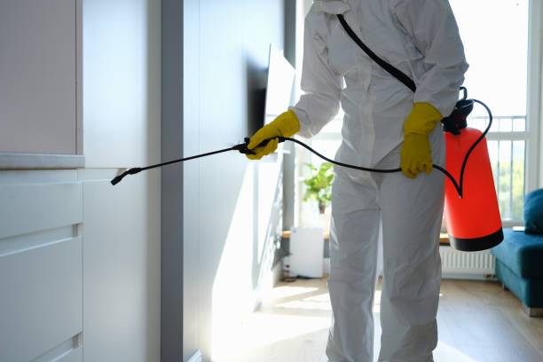 Best Fast Mold Removal  in Pilot Mountain, NC