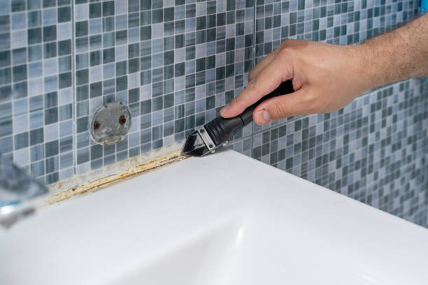 Best Same-Day Mold Removal  in Pilot Mountain, NC